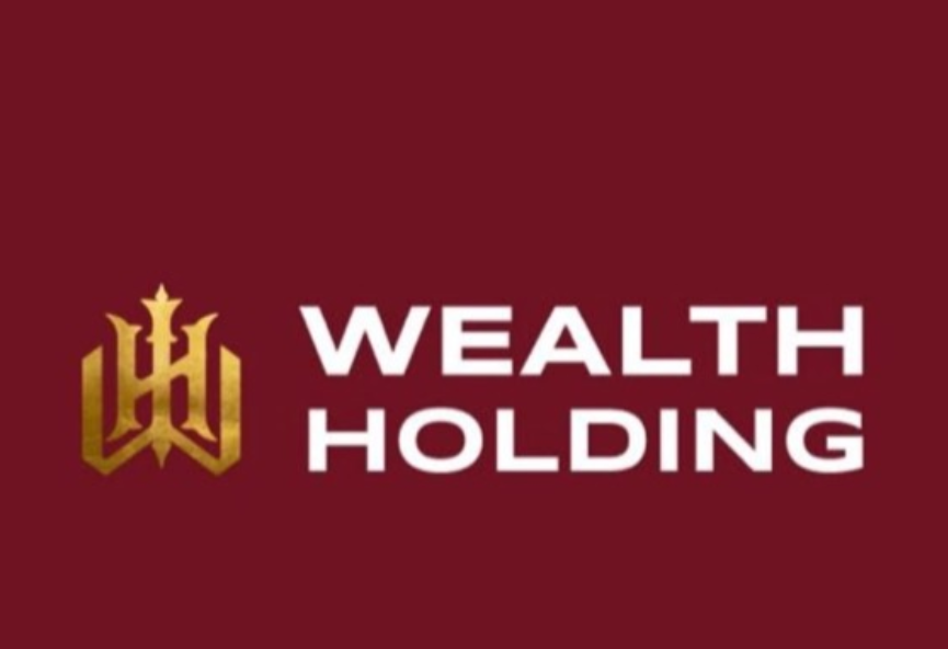 WEALTH HOLDING DEVELOPMENTS